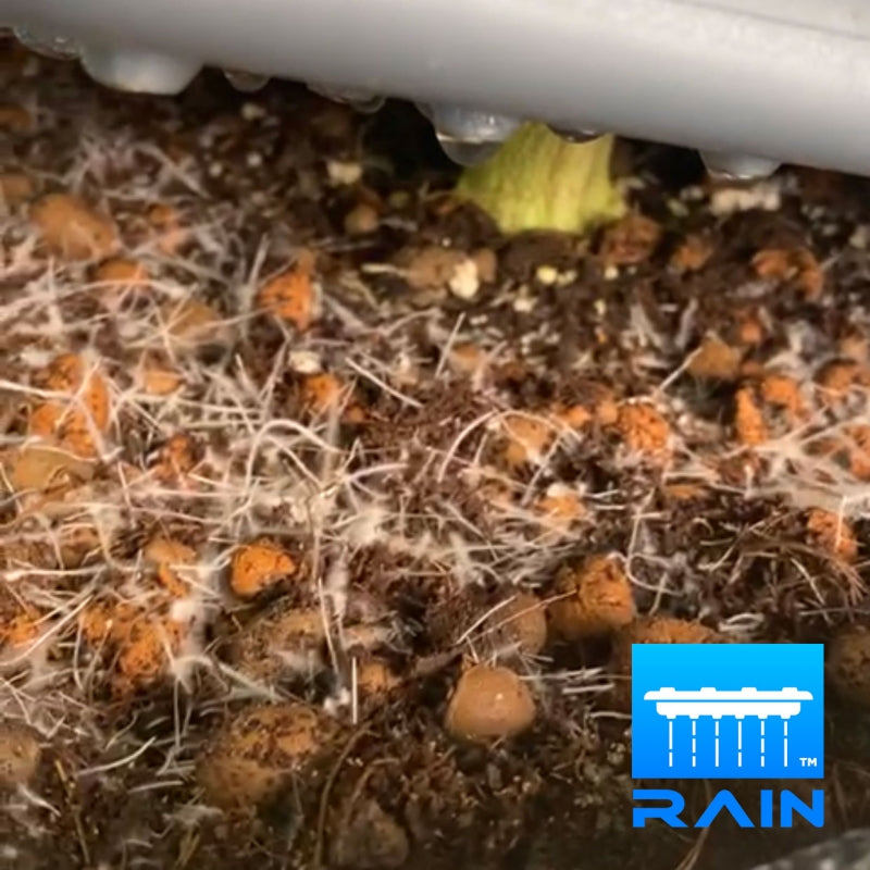 Alien® Rain™ 15L Pro Silver Series