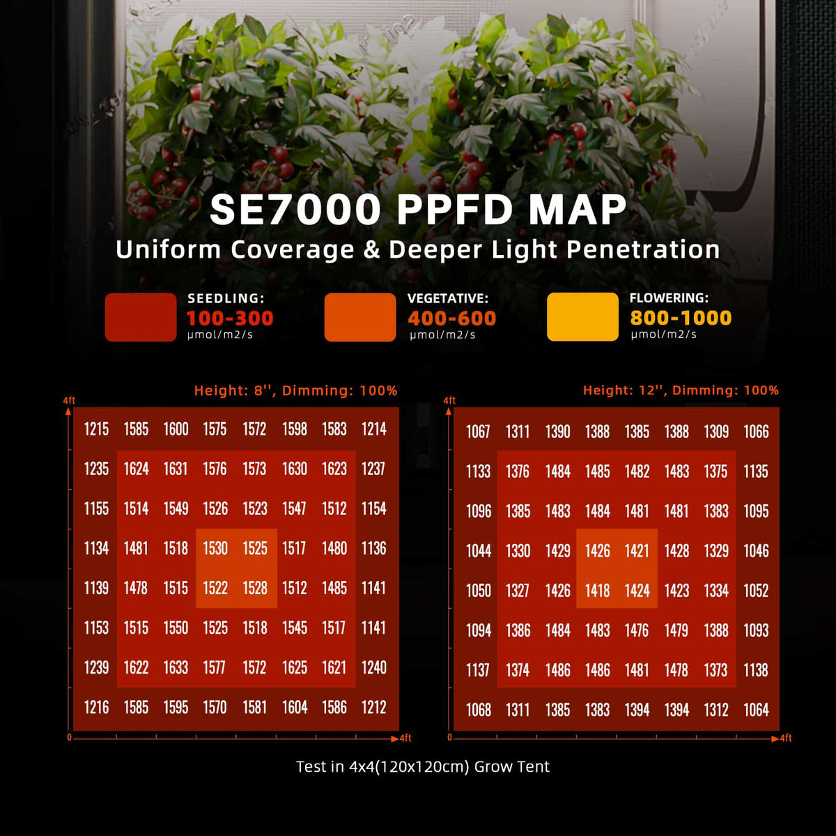 Spider Farmer SE7000 730W LED Pflanzenlampe Neue Version