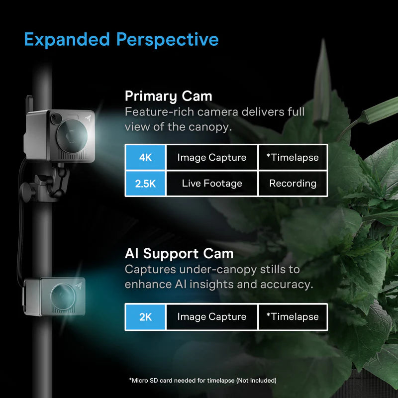 Two cameras mounted on a stand with text explaining their functions in an expanded perspective.