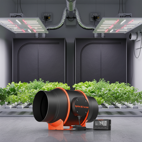 Spider Farmer grow system with LED lights and temperature monitor in a controlled environment.