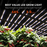 Spider Farmer G1000W LED Grow Light