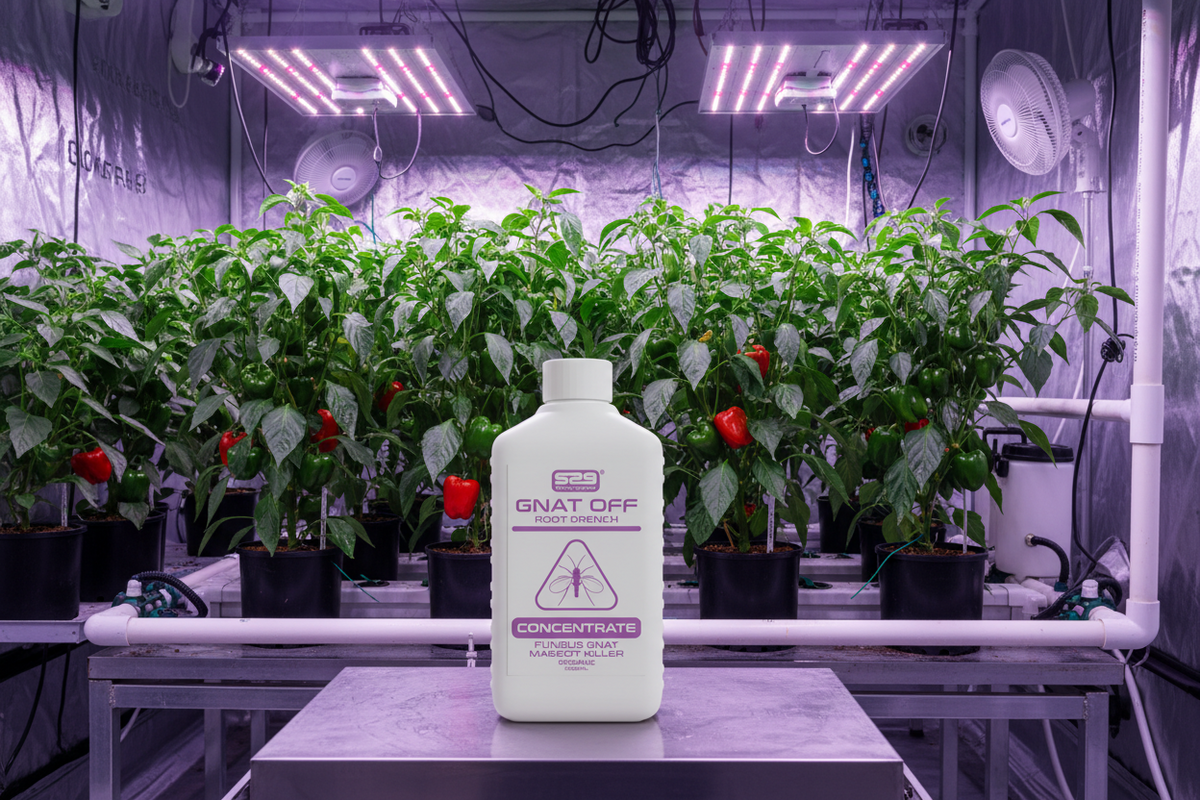 Spray2Grow - Gnat Off