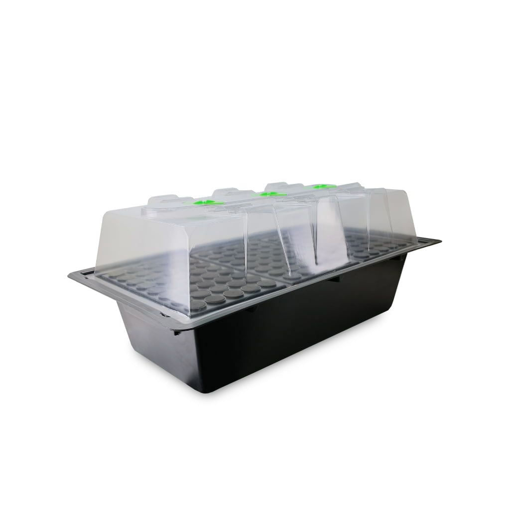 X-Stream Aeroponischer Propagator 120 Standort