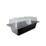 X-Stream Aeroponischer Propagator 120 Standort