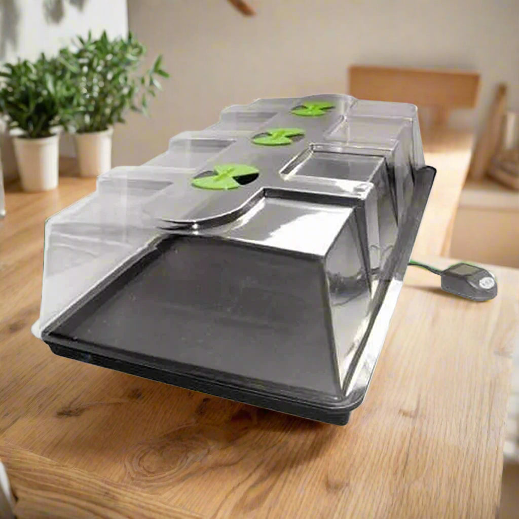 X-Stream Heat Large Propagator