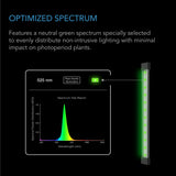 AC Infinity Ionbeam Green - LED Work Light