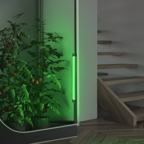 AC Infinity Ionbeam Green - LED Work Light