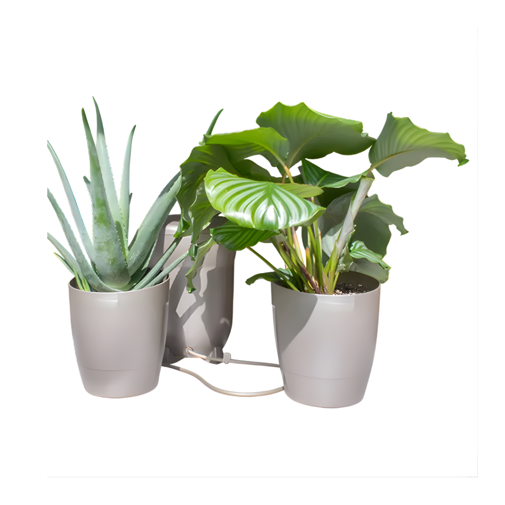 autopot khloris sage group shot