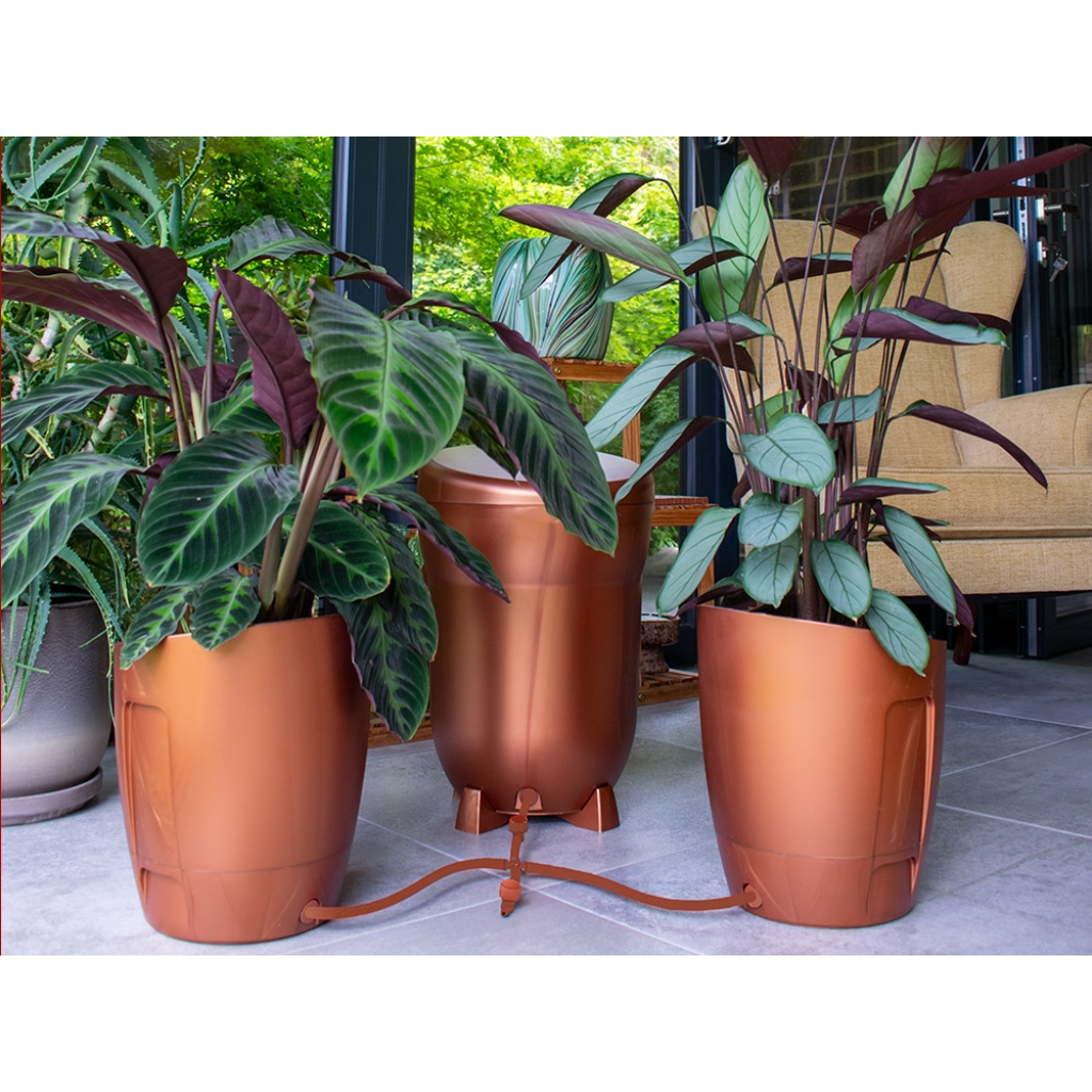 Autopot Khloris Watering System