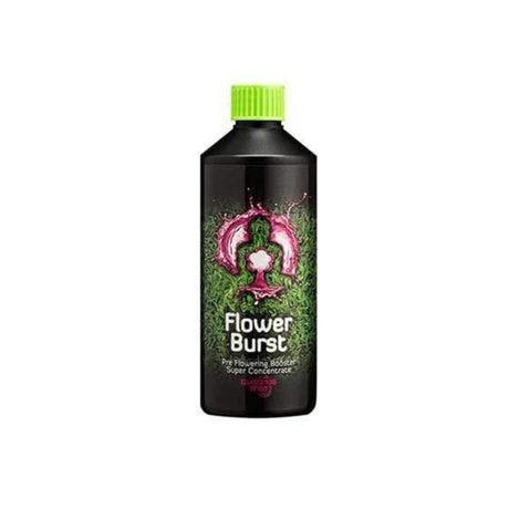 buddhas tree flower burst flowering booster 500ml