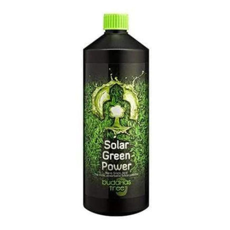 buddhas tree solar green power 1L