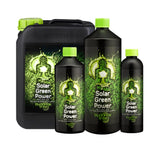 buddhas tree solar green power