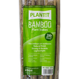 Bambusstäbe 25er Pack