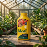 Bloom Yellow Bottles - Cal-Mag Calcium & Magnesium