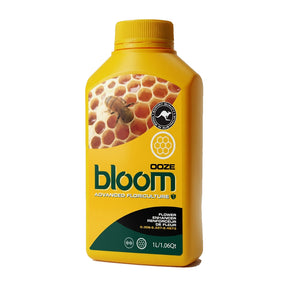 bloom yellow bottles ooze on white background