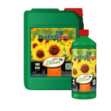 Dutchpro pH Down Bloom
