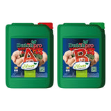 Dutchpro Hydro Coco Bloom