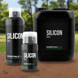 Essentials Silikon