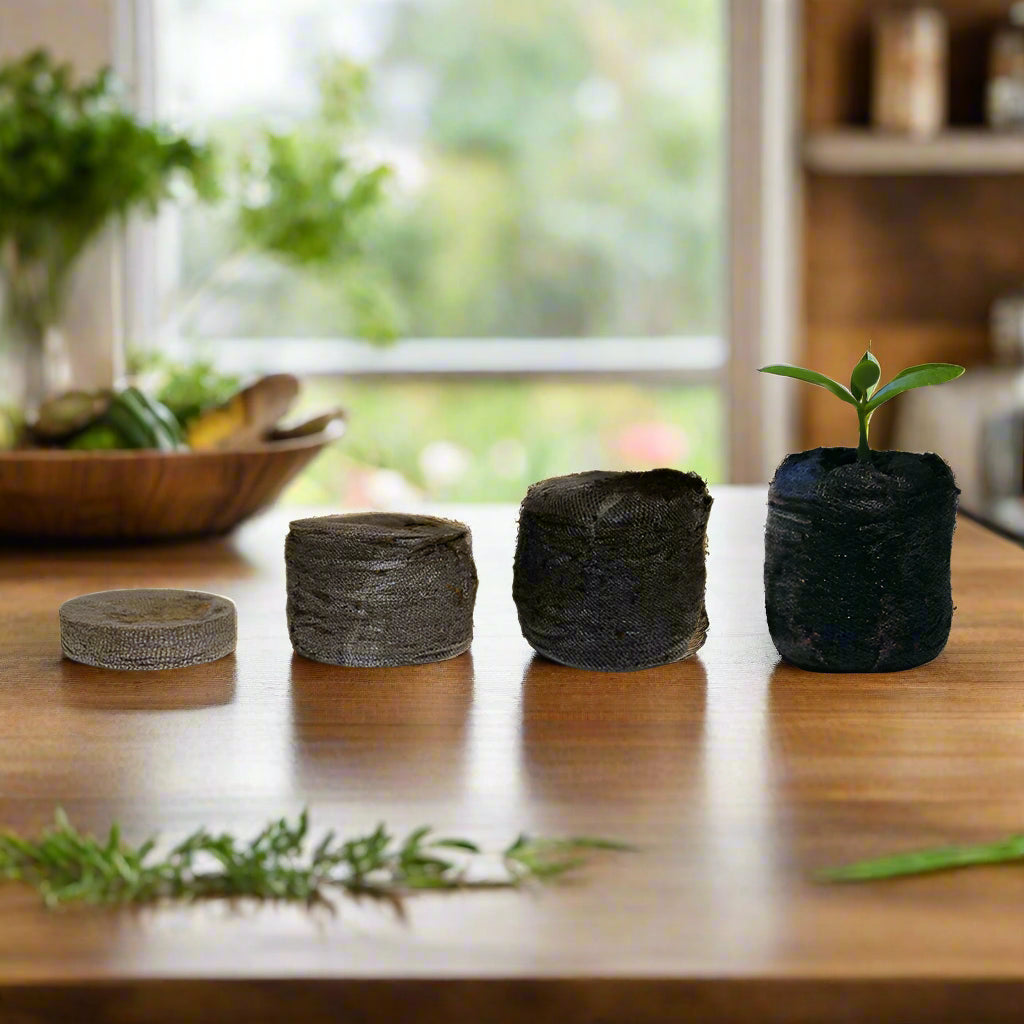 Jiffy-7 Coco Plugs | 100% Peat Free