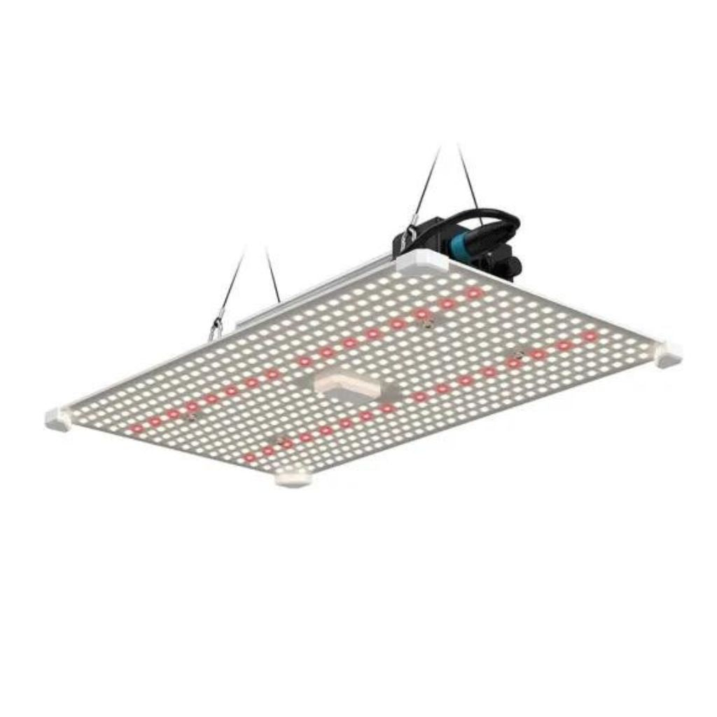 Lumii Black Blade 200 W LED-Wachstumslampe