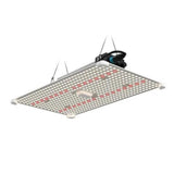 Lumii Black Blade 200 W LED-Wachstumslampe