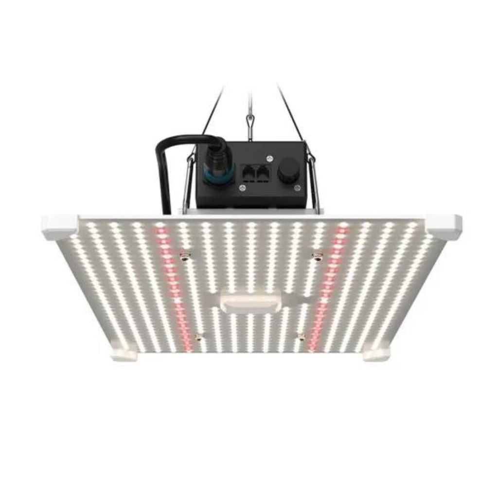 Lumii Black Blade 200 W LED-Wachstumslampe