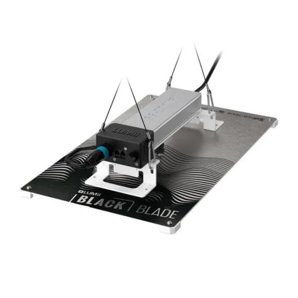 Lumii Black Blade 200 W LED-Wachstumslampe