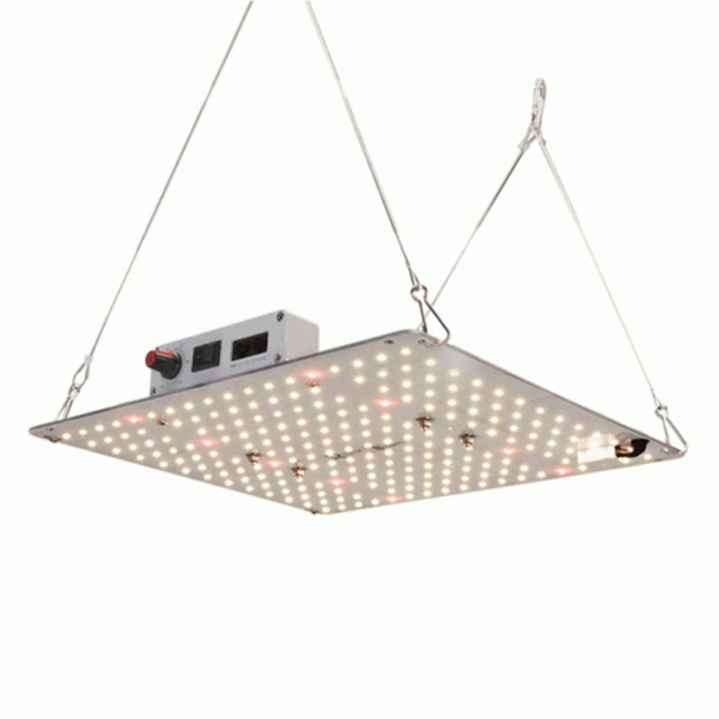 Omega Spectra G Line LED Pflanzenlampe G100