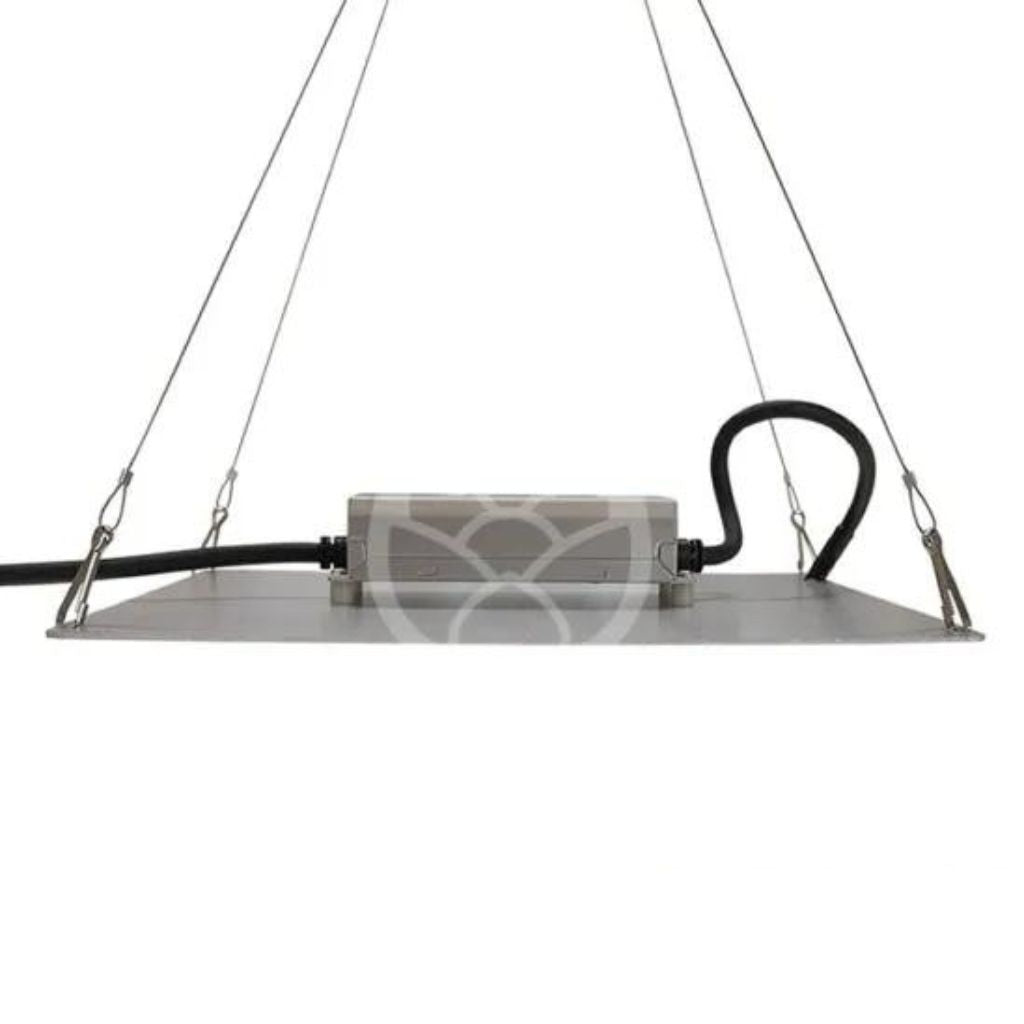 Omega Spectra G Line LED Pflanzenlampe G100
