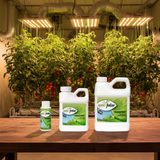 Optic Foliar Transport