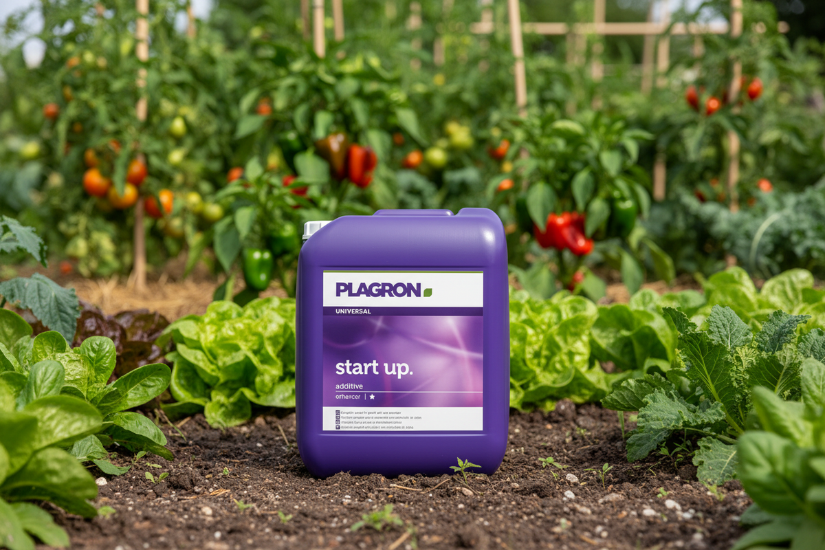 Plagron Start Up