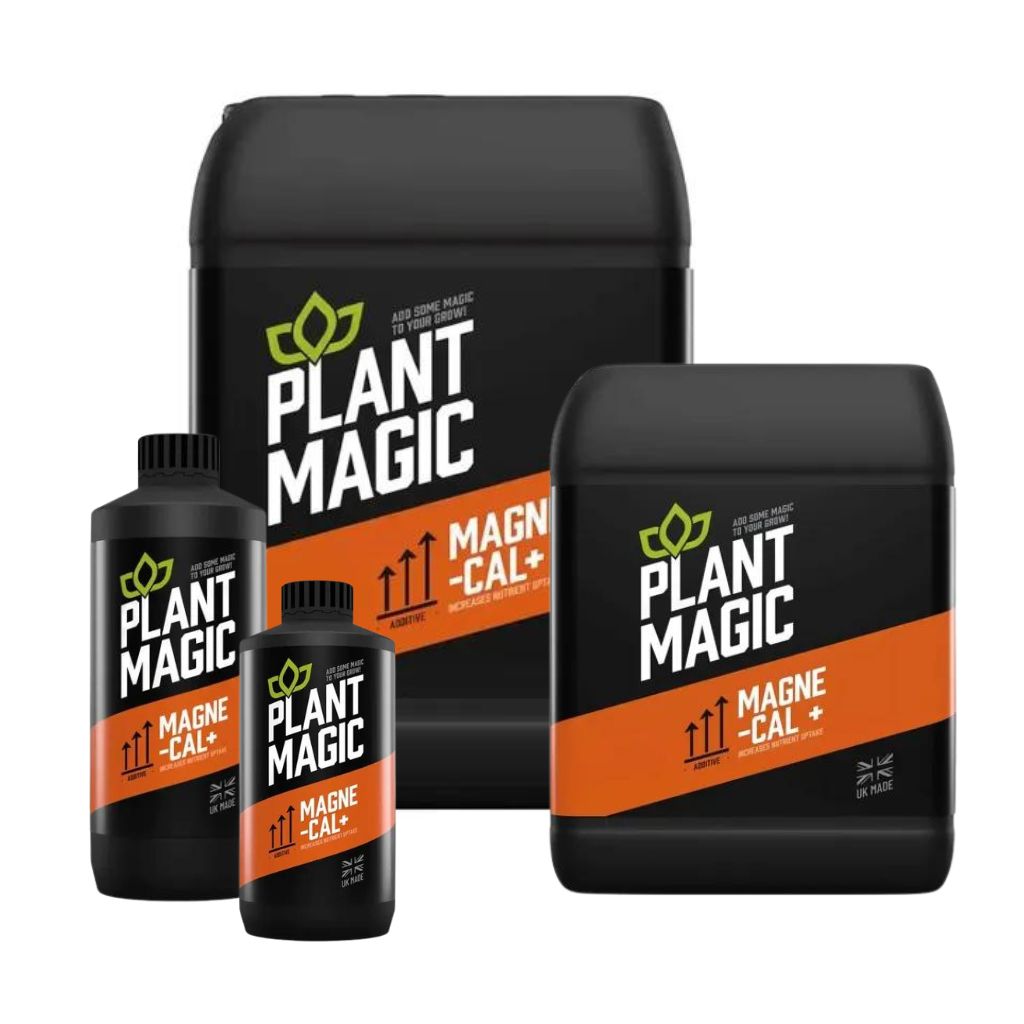 Pflanzenmagie Magne-Cal+
