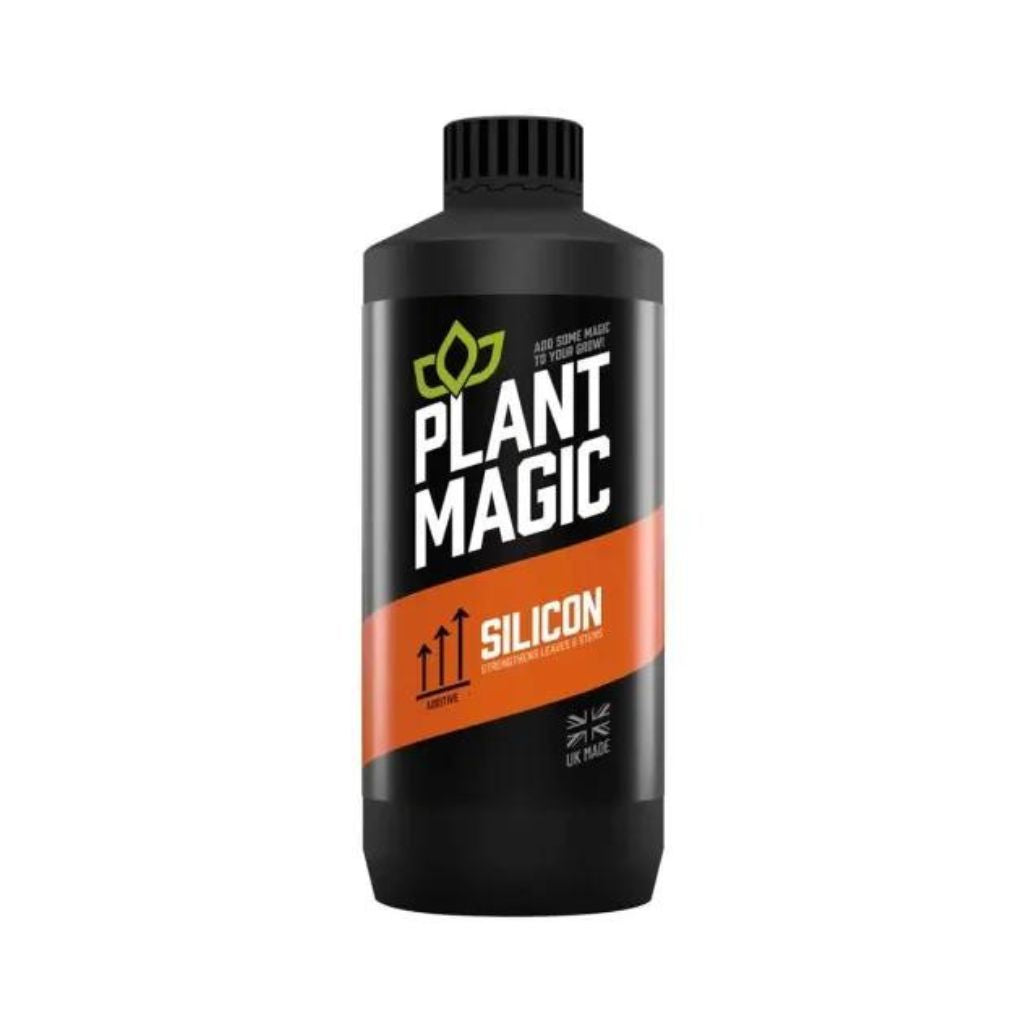 Pflanzenmagisches Silizium