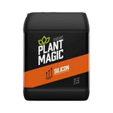Pflanzenmagisches Silizium