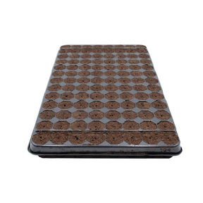 Plug Life Wood Fibre Coco 25/75 Propagation Clone Trays