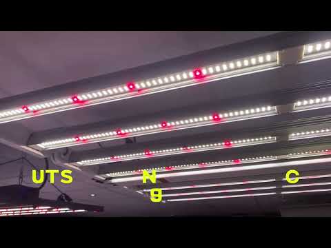 DLI Diode Multilayer 600 FS-DC LED Grow Light