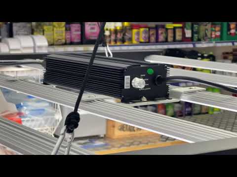 2 Omega Black 720 W LED 2,4 mx 1,2 m Growzelt-Set
