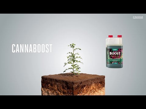 Canna Boost Accelerator