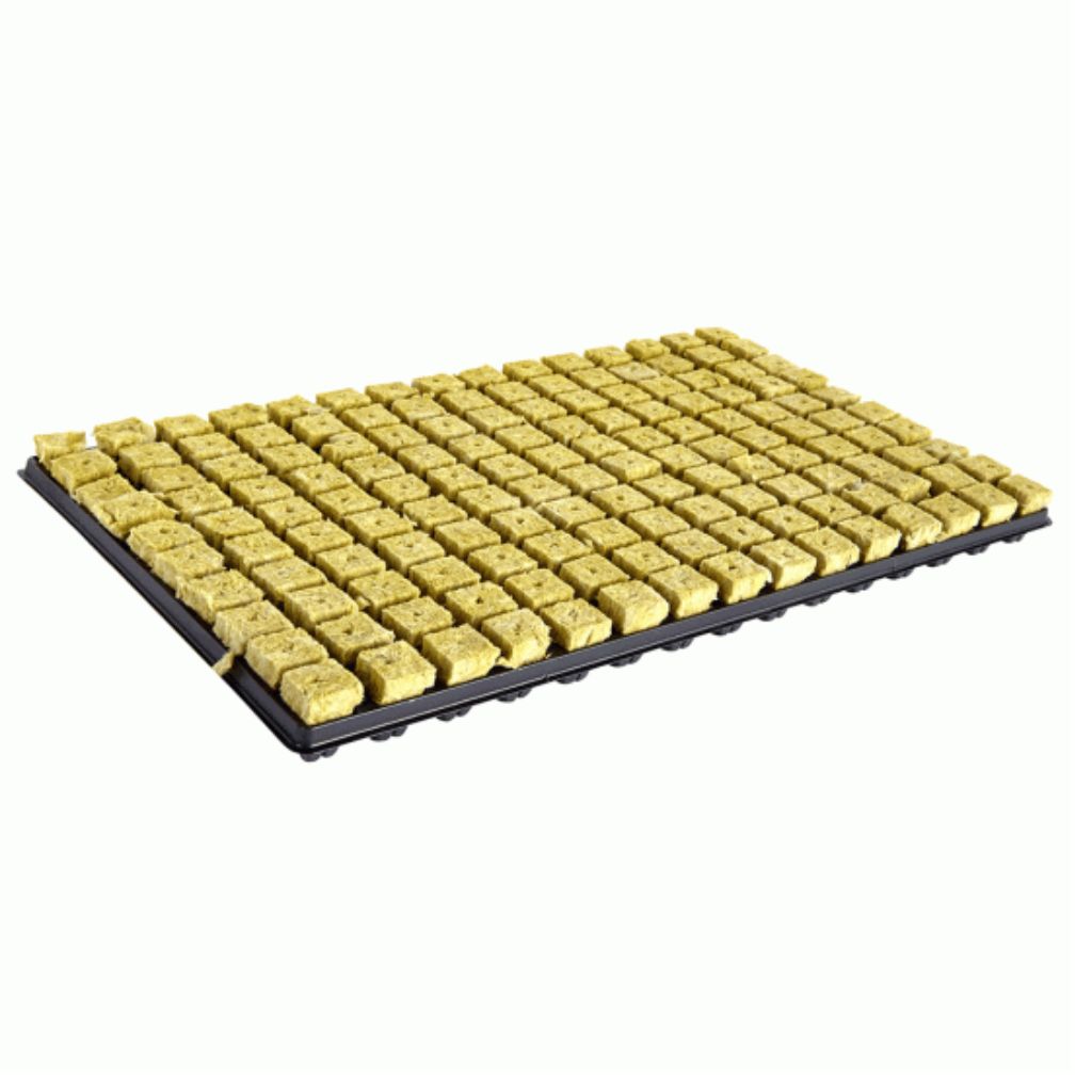 Rockwool Small 1inch SBS Cube Tray