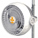 Secret Jardin Clip-On Monkey Fan