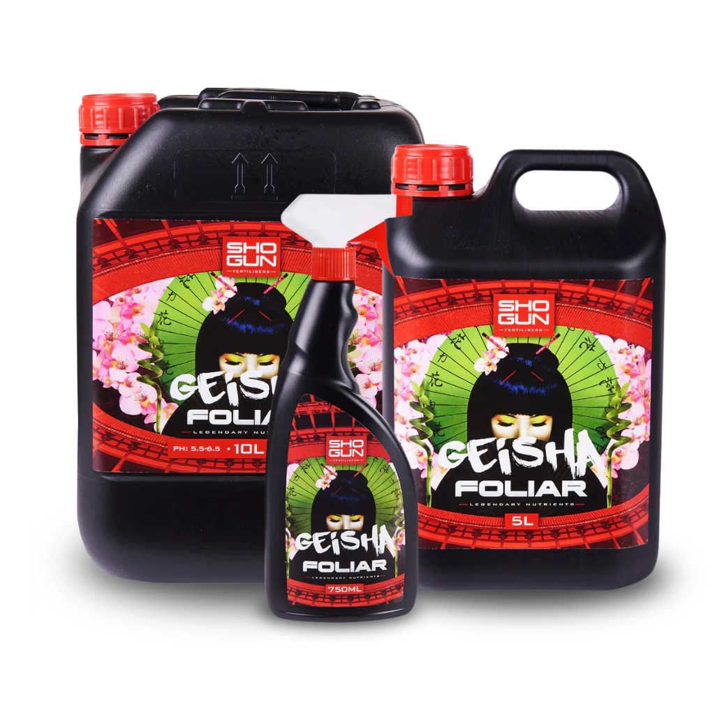 Shogun Geisha Blatt