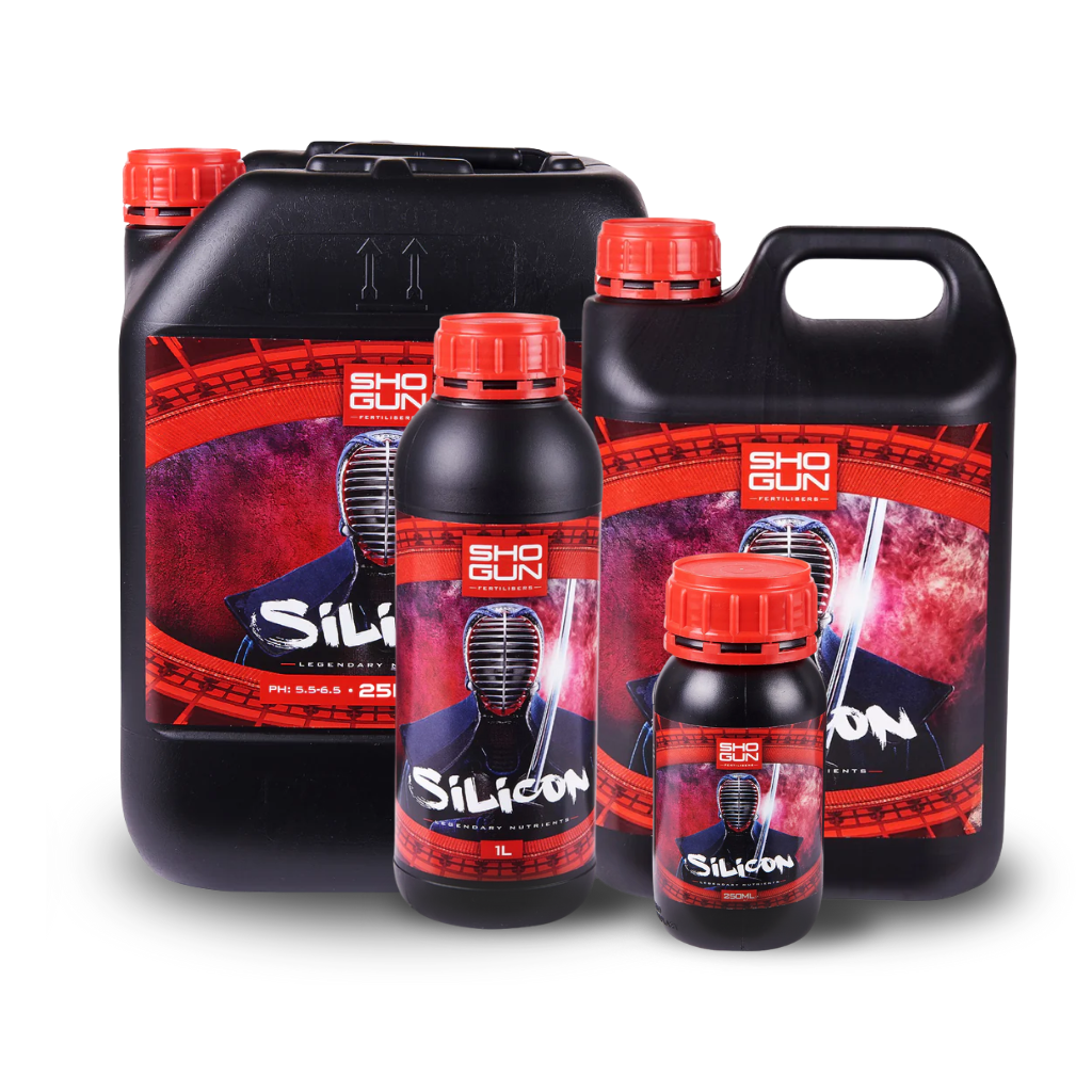 Shogun-Silizium