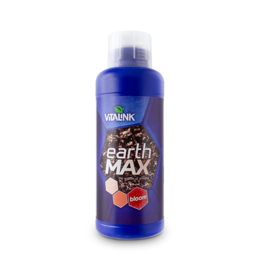 VitaLink Earth MAX Blüte