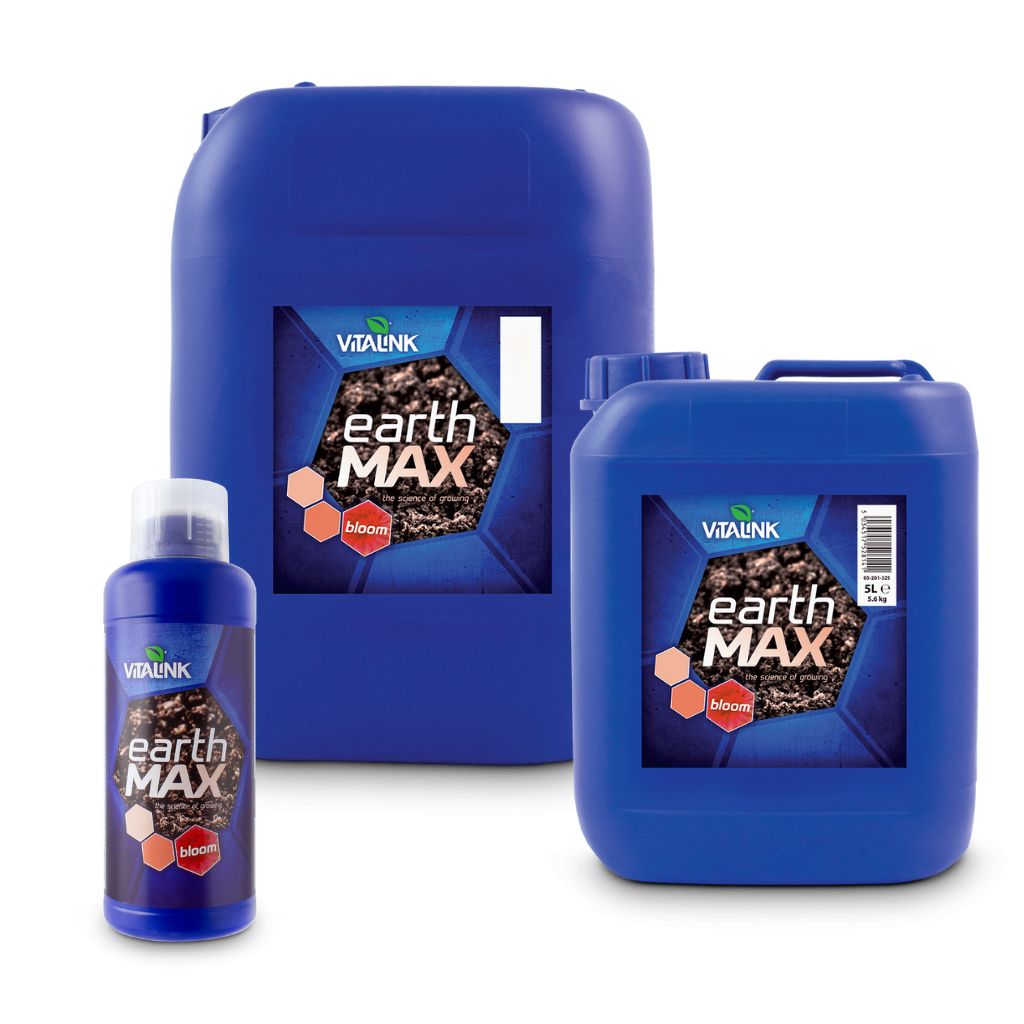 VitaLink Earth MAX Blüte