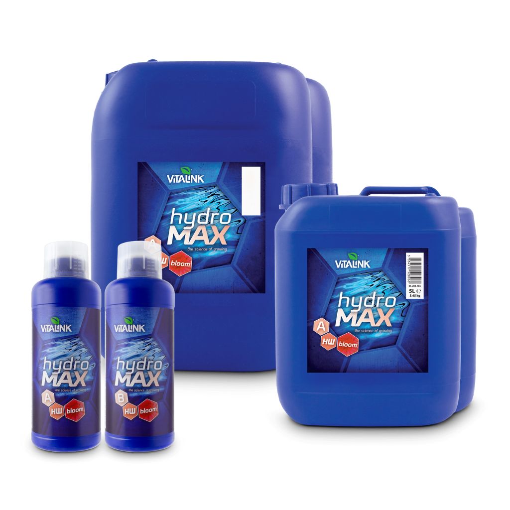 VitaLink Hydro Max Bloom