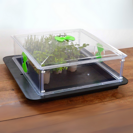 Vitopod Small Propagator
