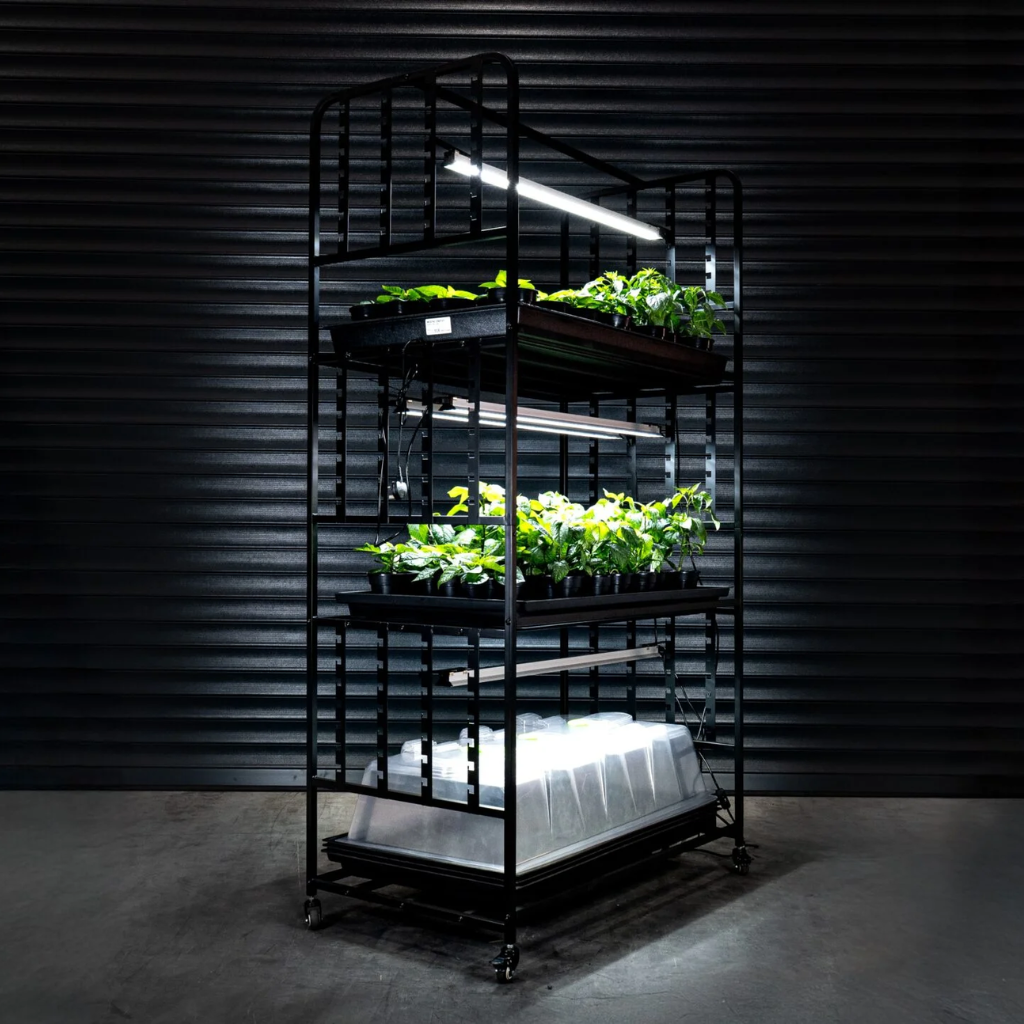 X-Stream Propagation Racking