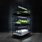 X-Stream Propagation Racking